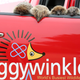 Illustration for article titled Tiggywinkles To The Rescue With New Hilux Ambulance